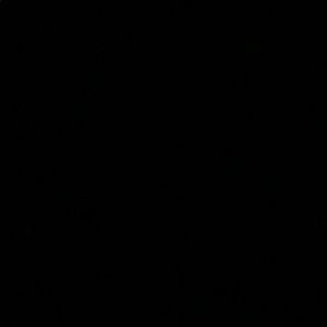 Meet your Posher, Laurie